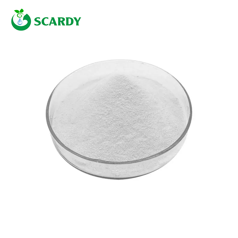 Nicotinamide Adenine Dinucleotide NAD Powder